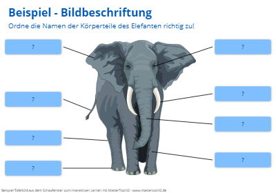 Bildbeschriftung am Beispiel eines Elefanten